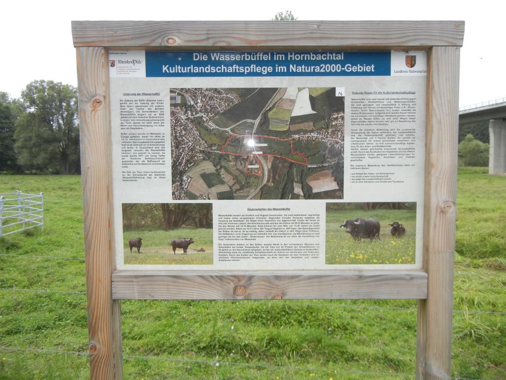 Gaestehaus Monika Hornbach Esterno foto